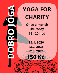 Charity yoga class